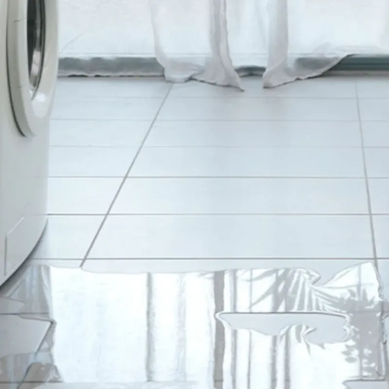 Appliance Leak Cleanup in Pleasant Valley, WV