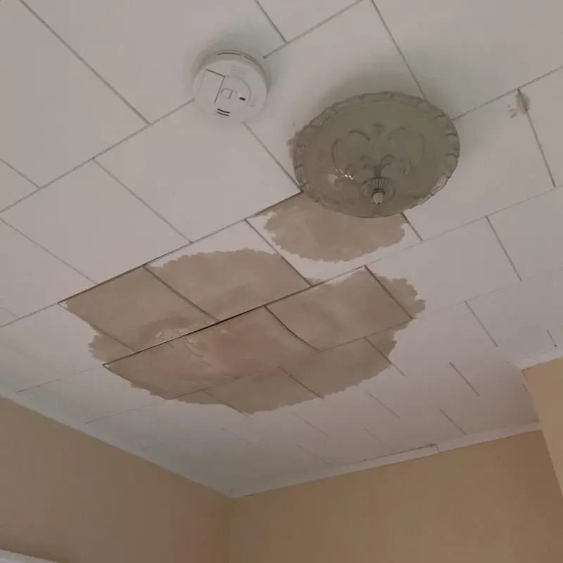 Ceiling Water Damage Repair in Pleasant Valley, WV