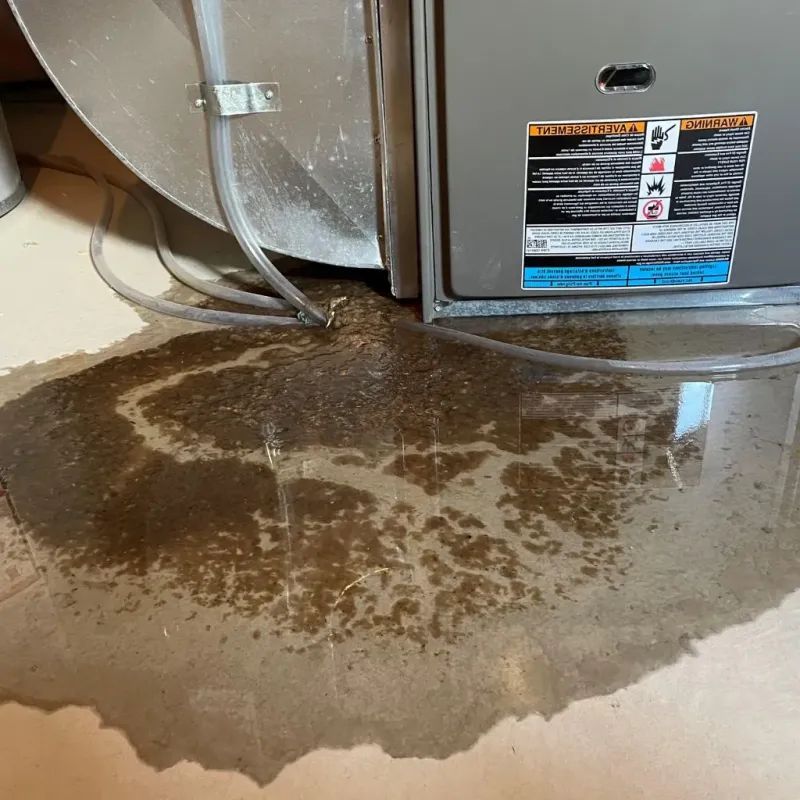 Pipe Burst and Leak Restoration in Pleasant Valley, WV