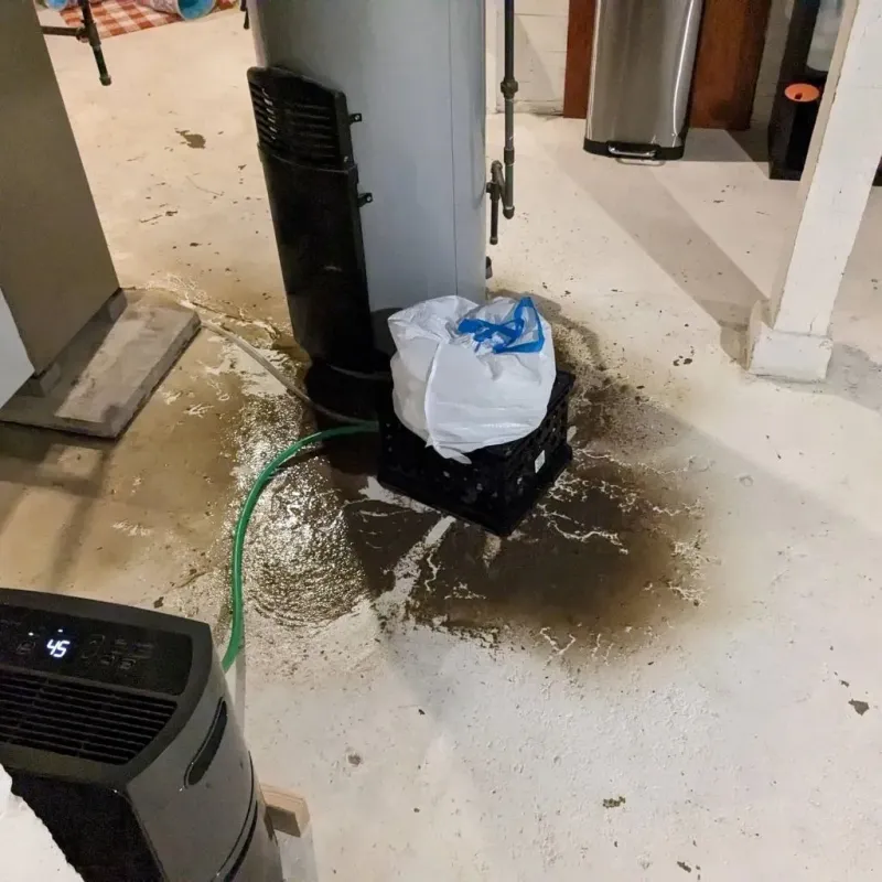 Sewage Backup Cleanup Service in Pleasant Valley, WV